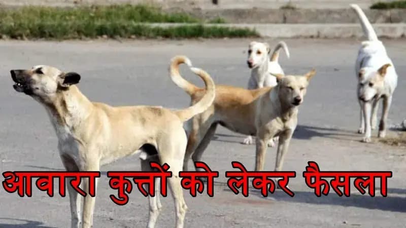 आवारा कुत्तों से निजात दिलाएंगे शेल्टर होम व एबीसी सेंटर-मुख्यमंत्री योगी आदित्यनाथ