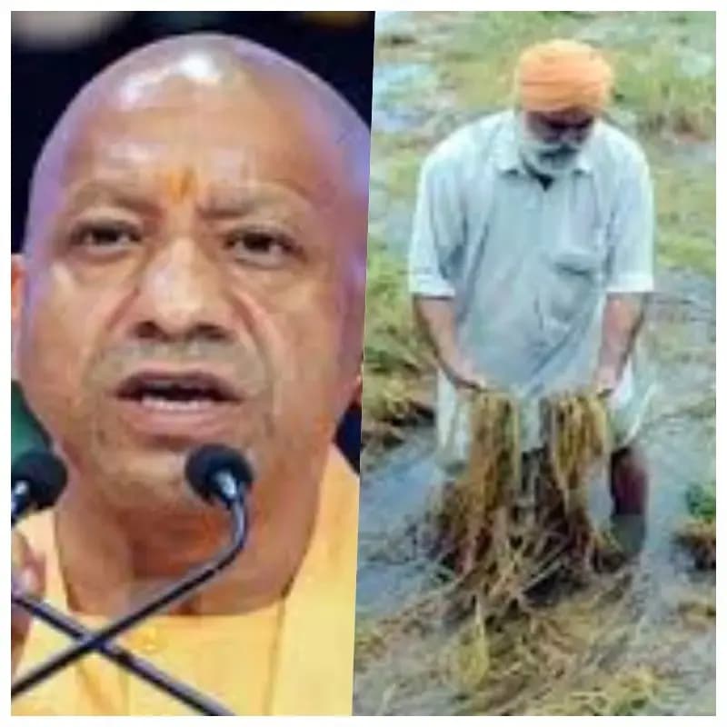 मुख्यमंत्री योगी आदित्यनाथ ने बेमौसम बारिश से परेशान किसानों का जाना हाल