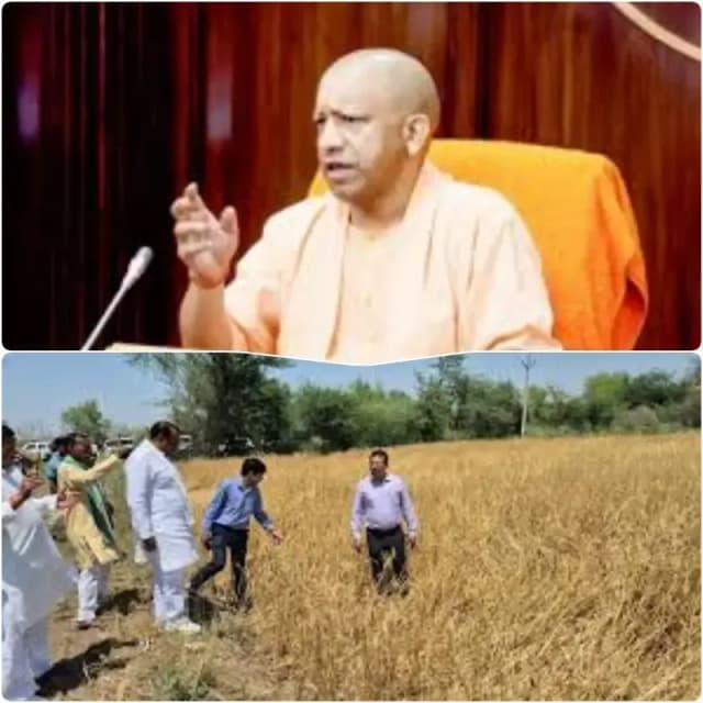 हर प्रभावित किसान व बटाईदार को त्वरित राहत, क्षतिपूर्ति में नहीं होगी देरी - मुख्यमंत्री